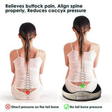 Seat Cushion, Office/Computer Chair and Orthopedic Ergonomic