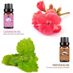 Essential Oils Gift Set - 10 Pack