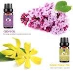 Essential Oils Gift Set - 10 Pack