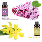 Essential Oils Gift Set - 10 Pack