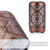 Essential Oil Diffuser 100ML