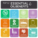 Essential Oils Gift Set - 8 Pack