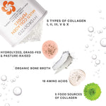 Multi Collagen Peptides Protein Powder - 1.25lb