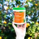 Green Superfood Immunity: Super Greens Powder